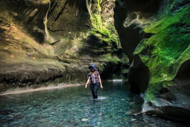 Activities and Events