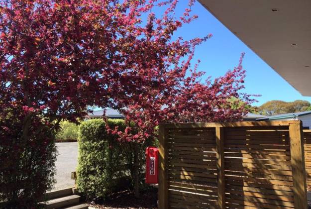 History of Martinborogh